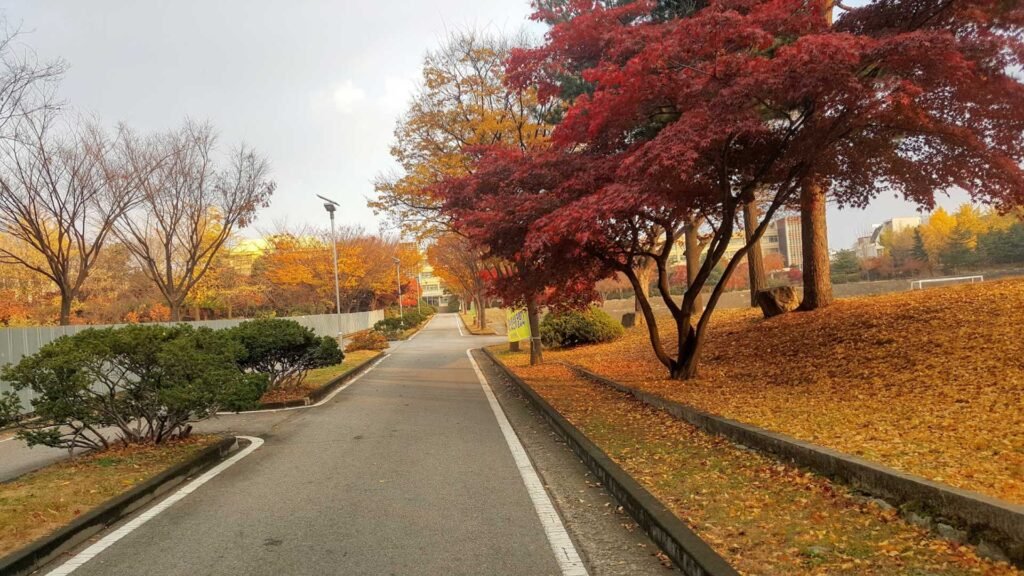 San Francisco has Perfect Weather during Fall Season.